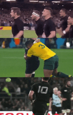 rwc 2015 rugby dan carter dieulois