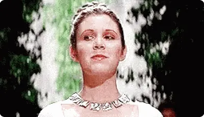  Carrie Fisher  PETIT-DIEULOIS