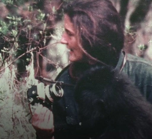 DIAN FOSSEY GORILLAS RWANDA-BURUNDI dieulois