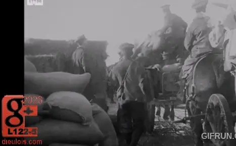 battle ancre 1916 dieulois